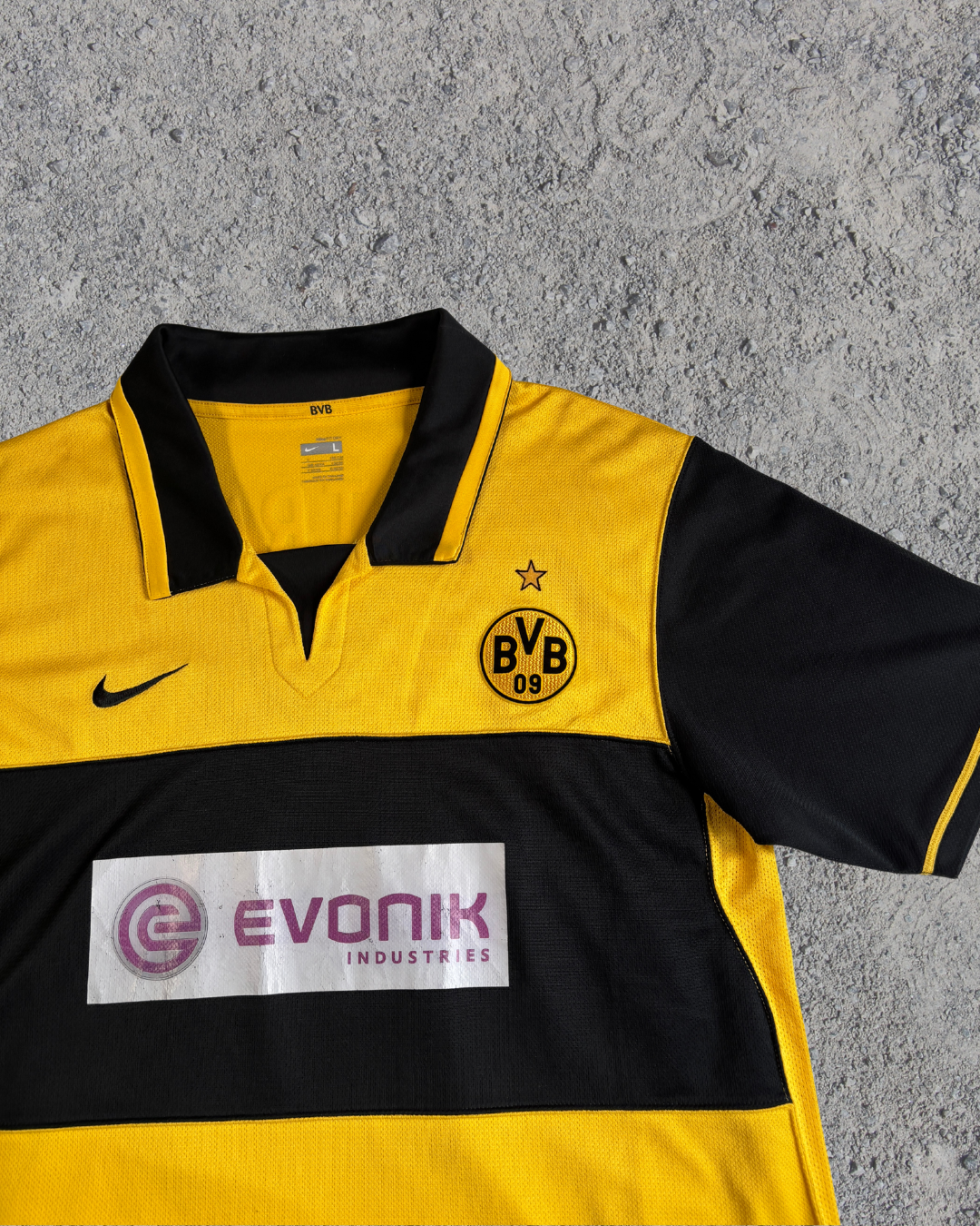 Borussia Dortmund Trikot Petric (L)  