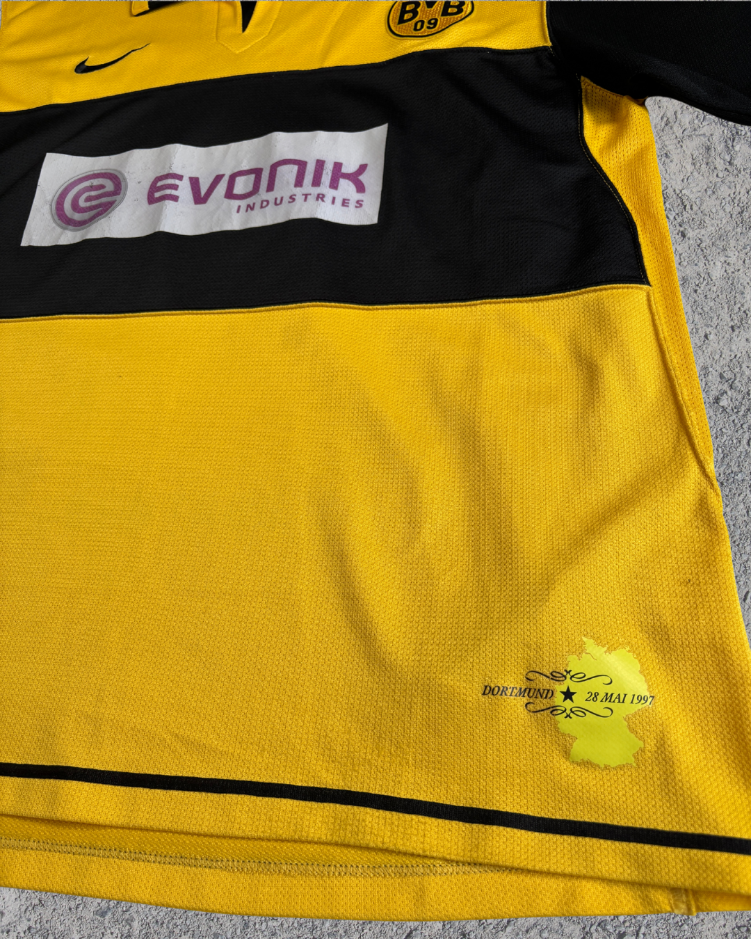 Borussia Dortmund Trikot Petric (L)  